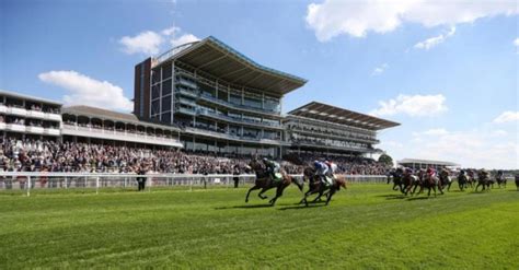 bet on york races